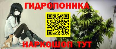 герыч Гатчина