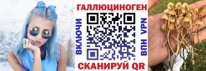 OMG ONION  Югорск  Галлюциногенные грибы ЛСД  закладки 