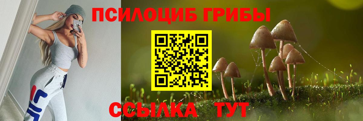 Псилоцибиновые грибы прущие грибы  Вход с VPN  Псилоцибиновые грибы прущие грибы  Югорск 